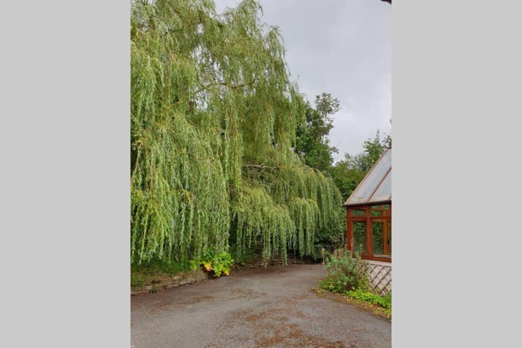 Willow Lodge Abergavenny Esterno foto